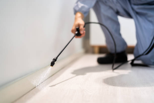 Bed Bug Pre-Treatment Preparation Assessment in Summit