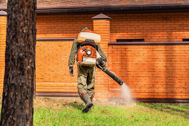 Bed Bug Clearance Verification and Documentation in Summit